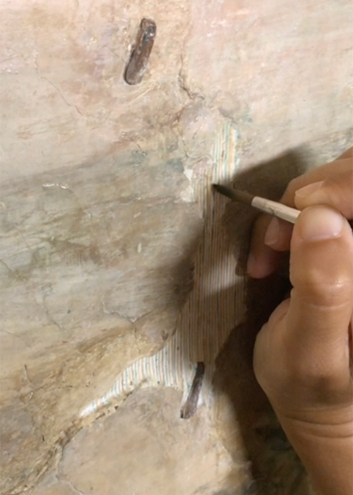 Villa_Farnesina_restauri_GASPARD-DUGHET_02