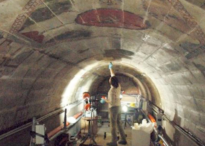 Villa_Farnesina_restauro_grottesche_05