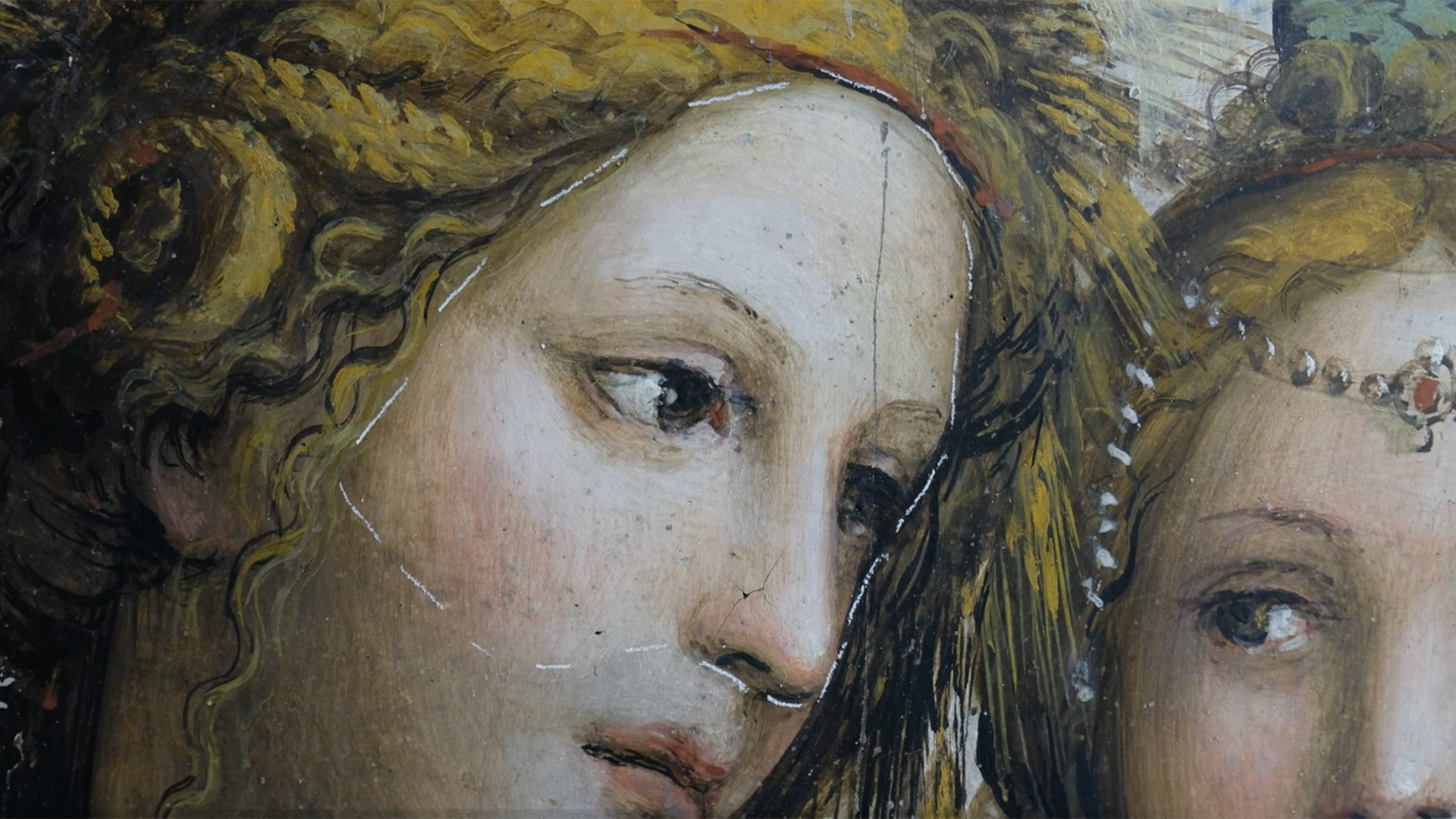 Villa_Farnesina_restauro_sala_nozze_03