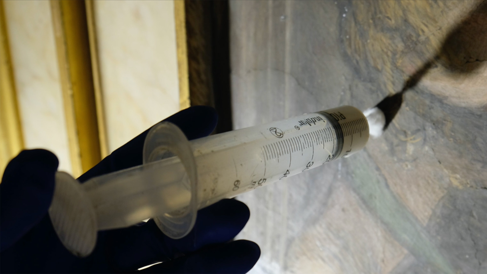 Villa_Farnesina_restauro_sala_nozze_05